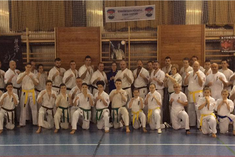 Sensei Bódi Szemináriuma Győrben